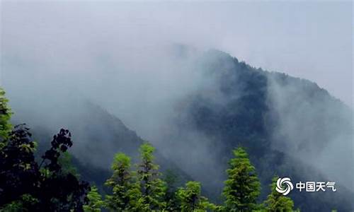 河南栾川天气预报15天_栾川 天气