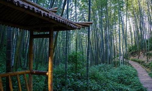 蜀南竹海天气情况_蜀南竹海天气预报一周天气