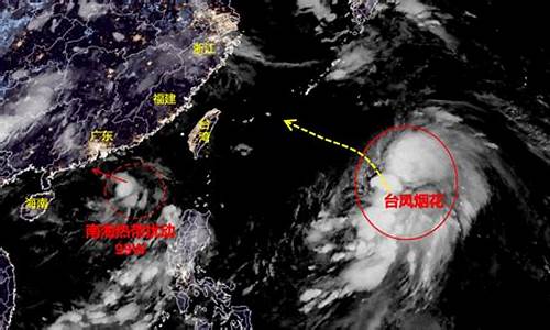 上海台风最新消息今天_上海台风最新报道