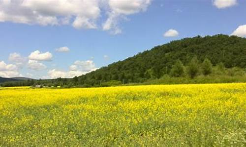 阿荣旗天气预报7天气_阿荣旗天气预报15天查询当地