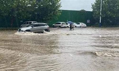 山东烟台大暴雨预报_山东烟台遭遇大暴雪的原因