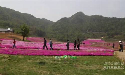 六安陡沙河天气预报_霍山陡沙河天气预报