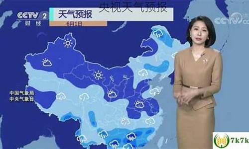 滁洲天气预报_滁州央视一周天气预报